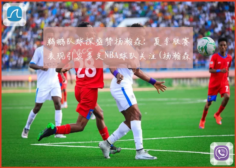 鹈鹕队球探盛赞杨瀚森：夏季联赛表现引发多支NBA球队关注(杨瀚森篮球)