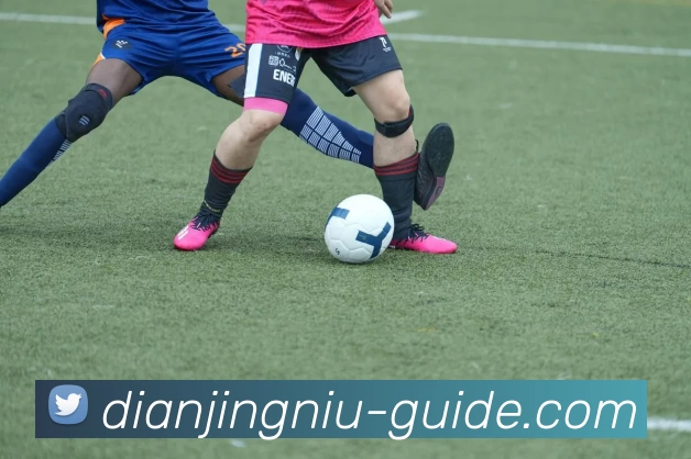 电竞牛指南品牌故事