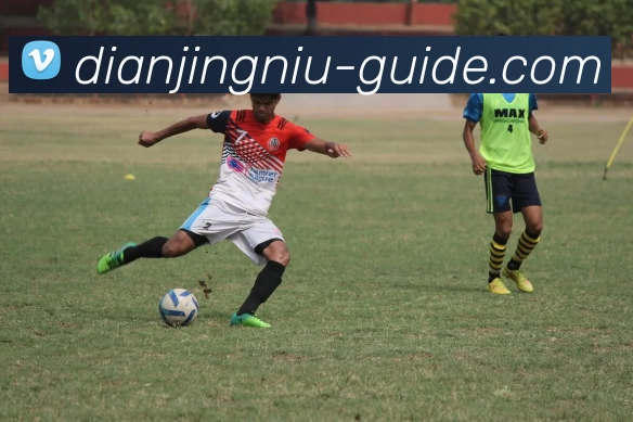 电竞牛指南服务体系